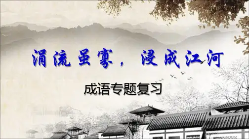 2018高考语文-成语专题复习课件