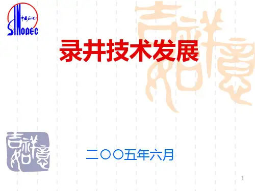 录井技术发展PPT课件