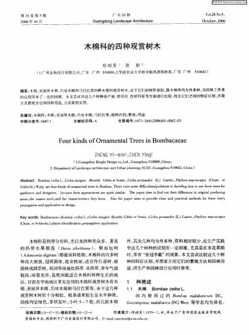 木棉科的四种观赏树木