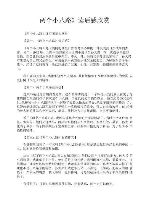 《两个小八路》读后感欣赏