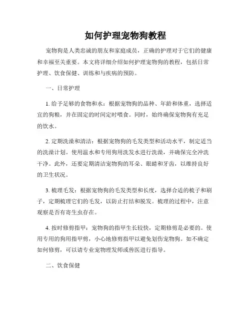 如何护理宠物狗教程