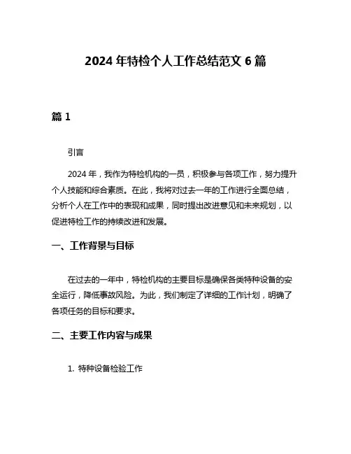 2024年特检个人工作总结范文6篇