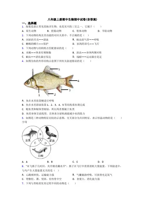 八年级上册期中生物期中试卷(含答案)