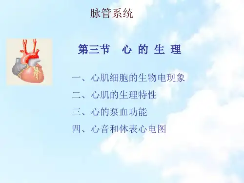解剖生理学-脉管系统-第三、四节