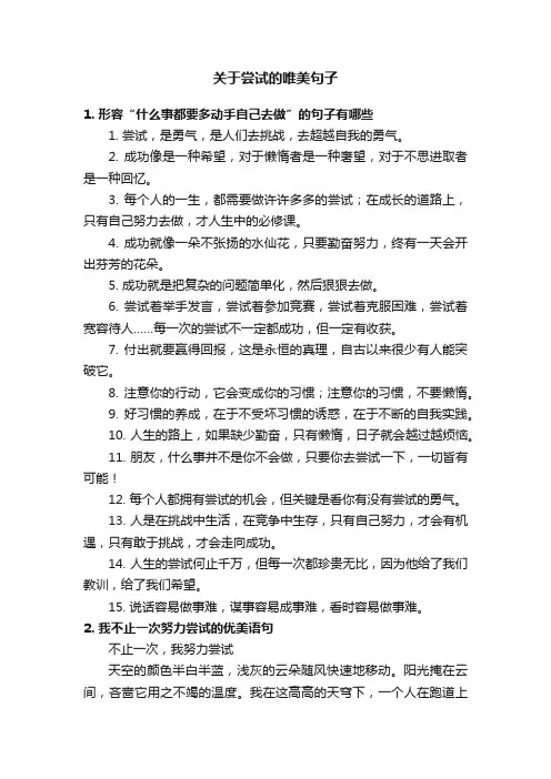 关于尝试的唯美句子