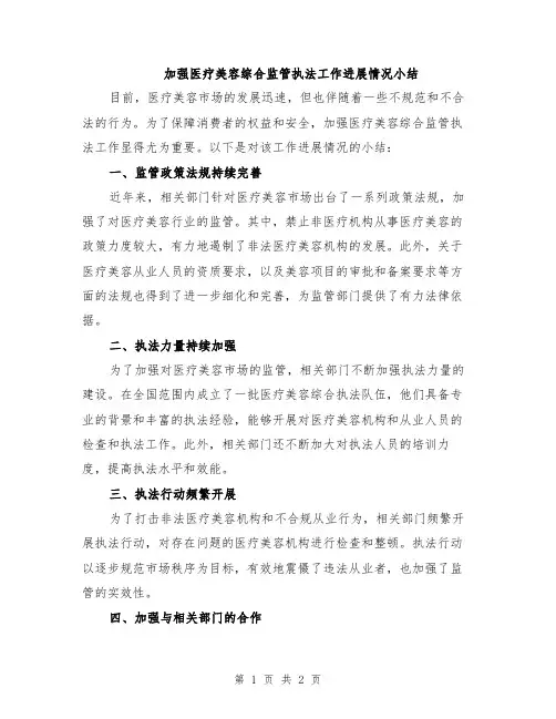 加强医疗美容综合监管执法工作进展情况小结