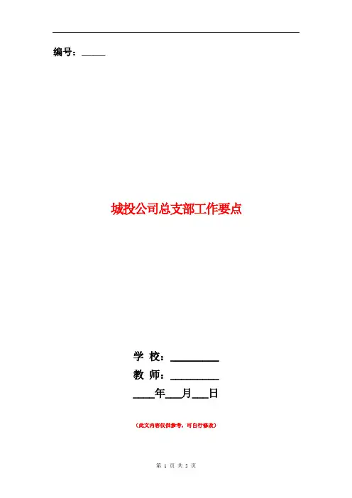 城投公司总支部工作要点