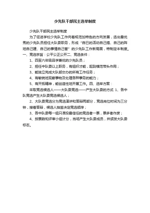 少先队干部民主选举制度