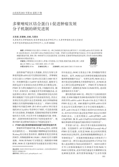 多聚嘧啶区结合蛋白1促进肿瘤发展分子机制的研究进展