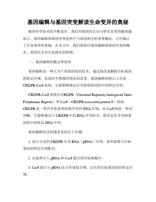 基因编辑与基因突变解读生命变异的奥秘