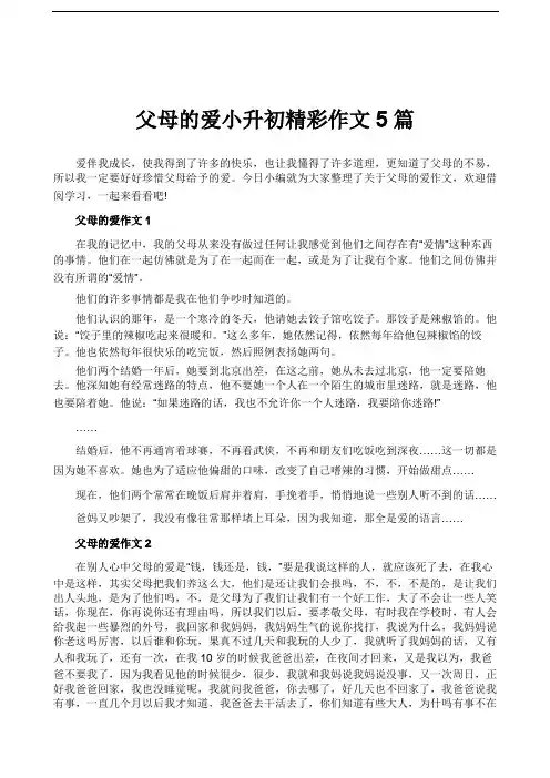 父母的爱小升初精彩作文5篇