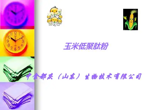 玉米低聚肽粉