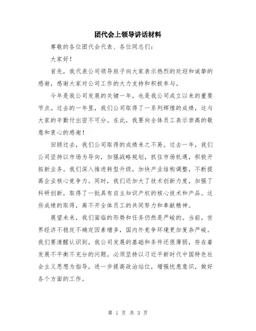 团代会上领导讲话材料