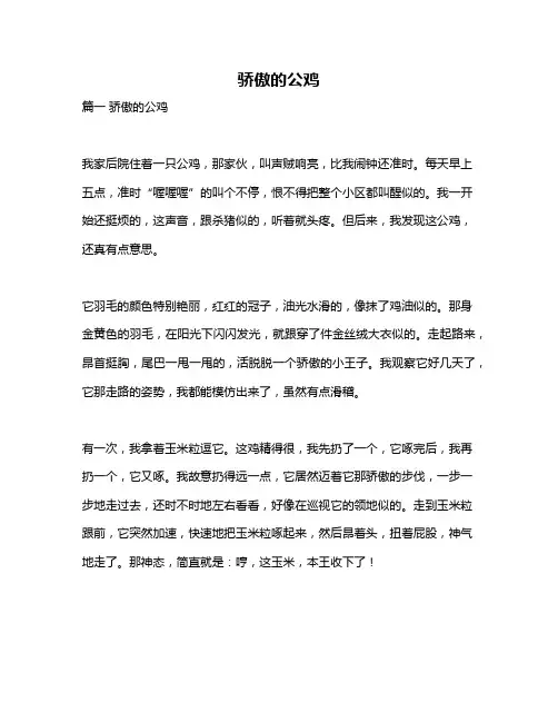 作文《骄傲的公鸡》