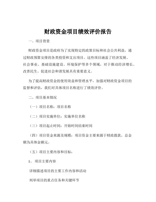 财政资金项目绩效评价报告