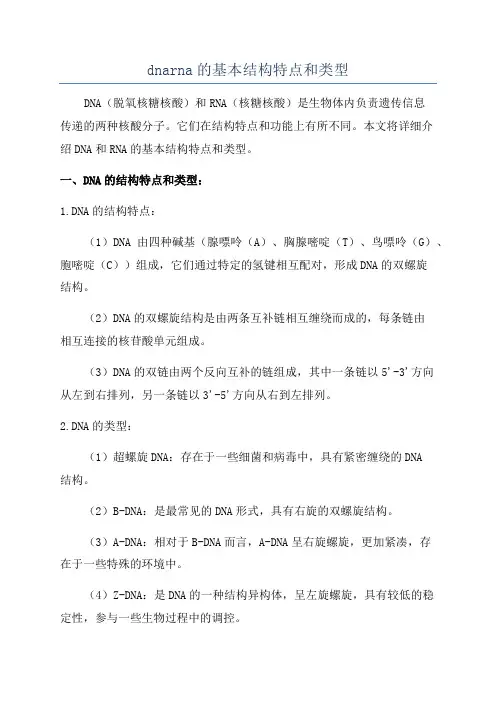 dnarna的基本结构特点和类型