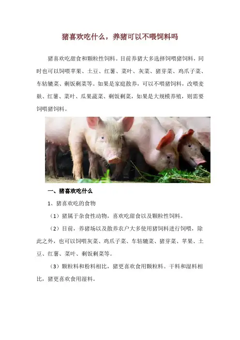 猪喜欢吃什么,养猪可以不喂饲料吗