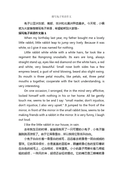 描写兔子英语作文_英语作文范文