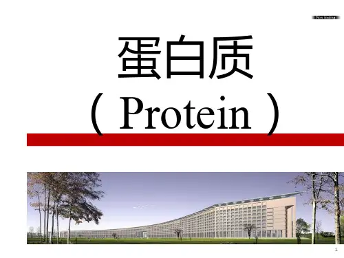 蛋白质功能及其推荐摄入量