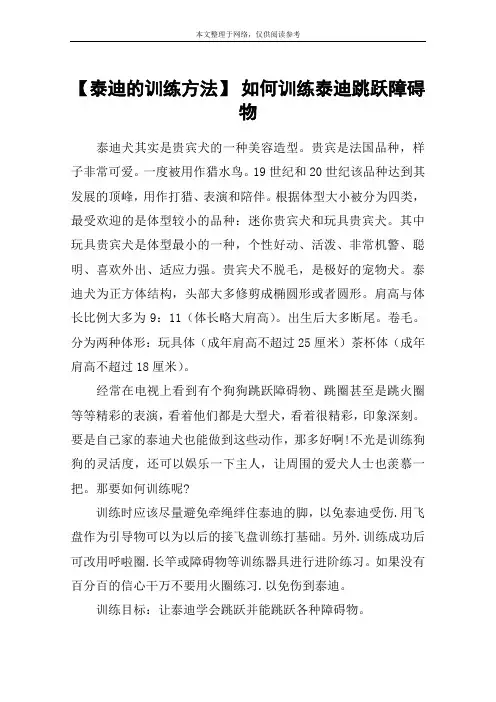 【泰迪的训练方法】 如何训练泰迪跳跃障碍物