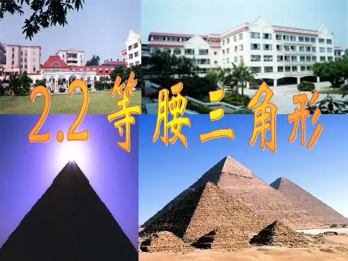 浙教版八年级上2.2等腰三角形课件ppt
