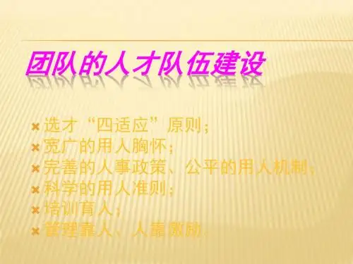 团队的人才队伍建设