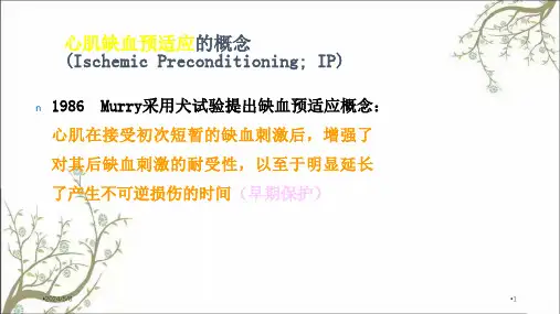 心肌缺血预适应课件