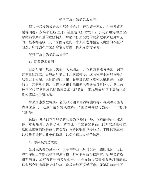 母猪产后无奶是怎么回事
