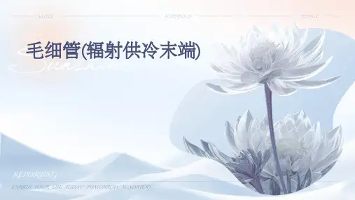 毛细管(辐射供冷末端)