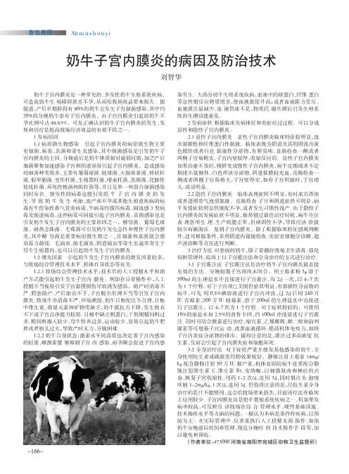 奶牛子宫内膜炎的病因及防治技术