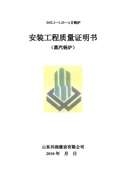 工业锅炉表格(节选)