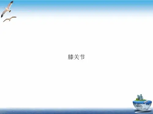 膝关节PPT示范课件