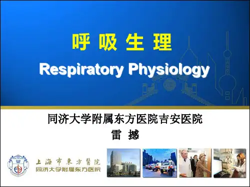 1-1呼吸生理基础