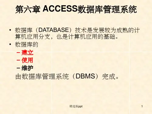 ACCESS数据库管理系统