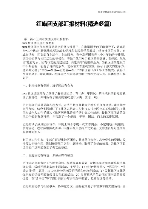 红旗团支部汇报材料(精选多篇)