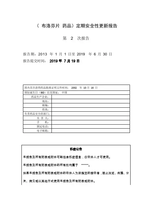 PSUR-布洛芬片定期安全性更新报告模板