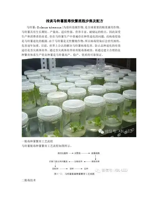 浅谈马铃薯脱毒快繁流程步奏及配方