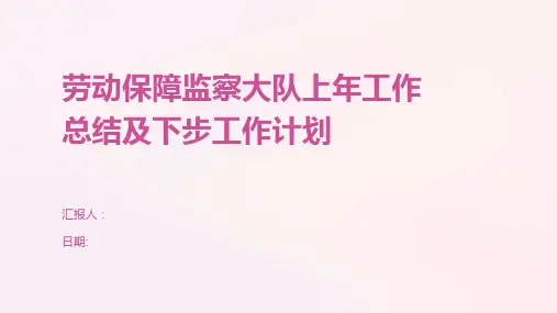 劳动保障监察大队上年工作总结及下步工作计划