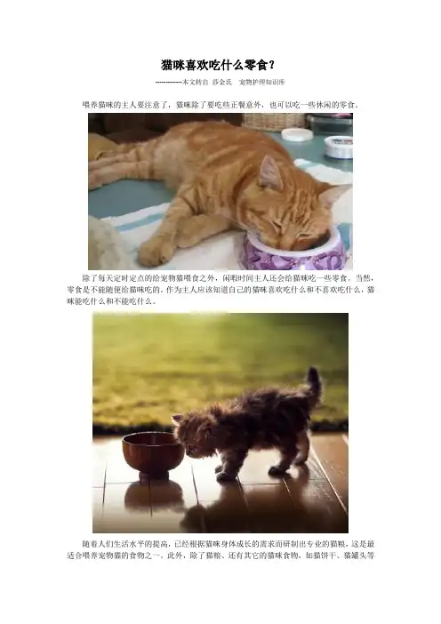 猫咪喜欢吃什么零食？