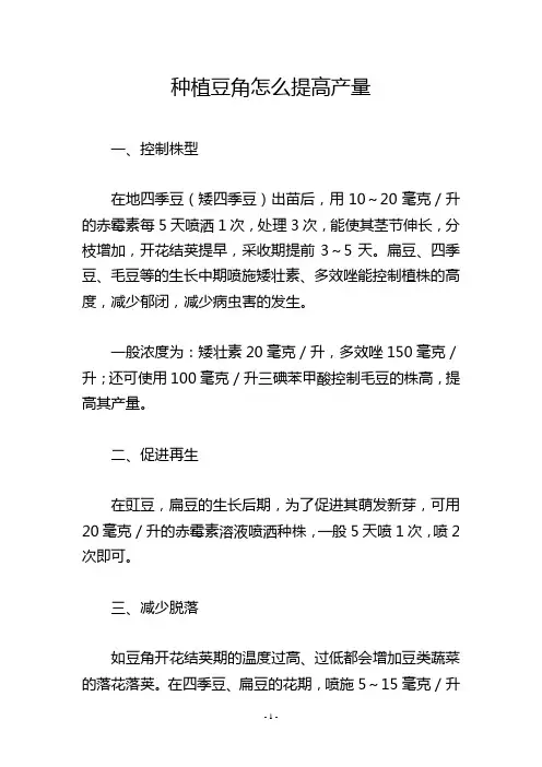 种植豆角怎么提高产量