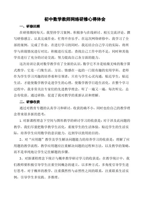 初中数学教师网络研修心得体会