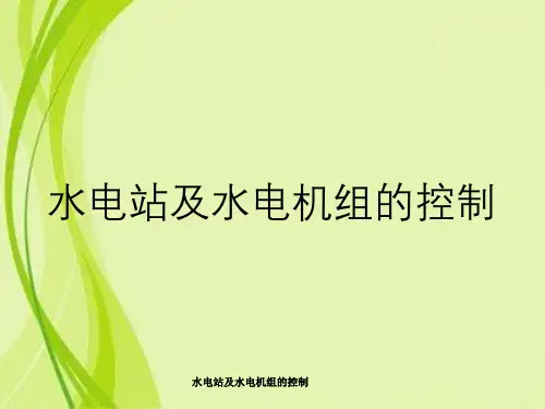水电站及水电机组的控制