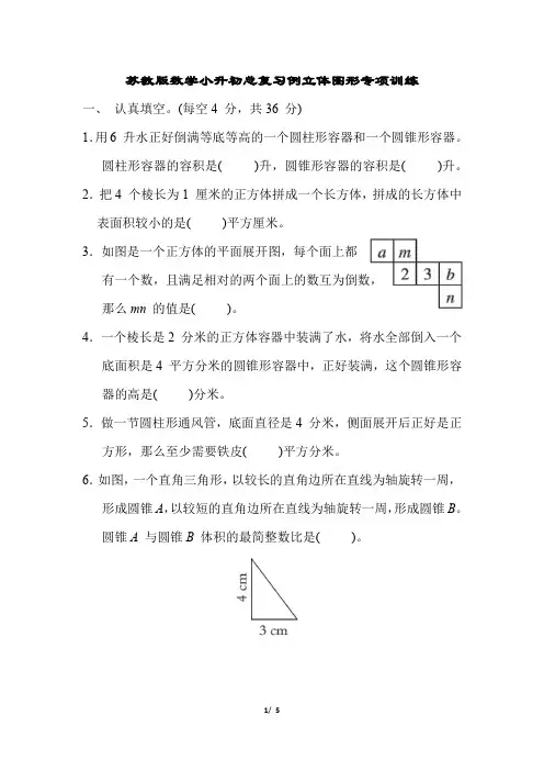 苏教版数学小升初总复习例立体图形专项训练含答案