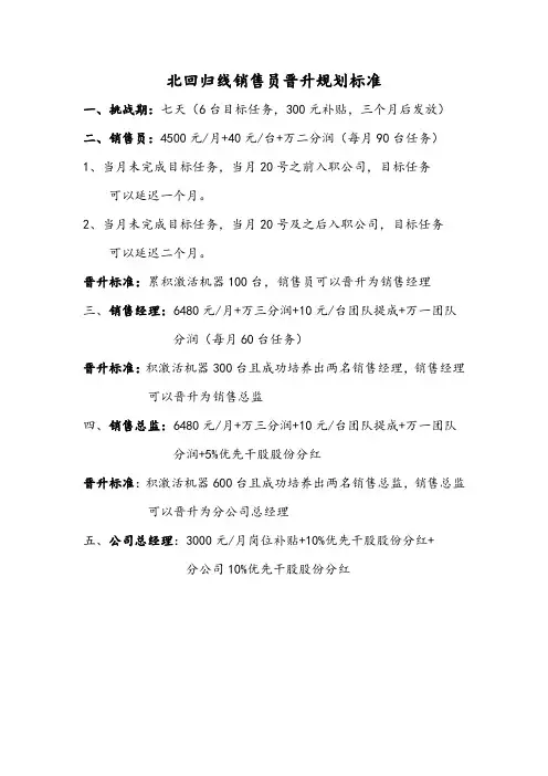 销售员薪资及晋升标准