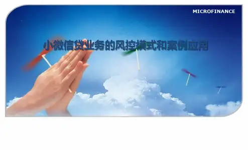 小微信贷业务的风控模式和案例应用