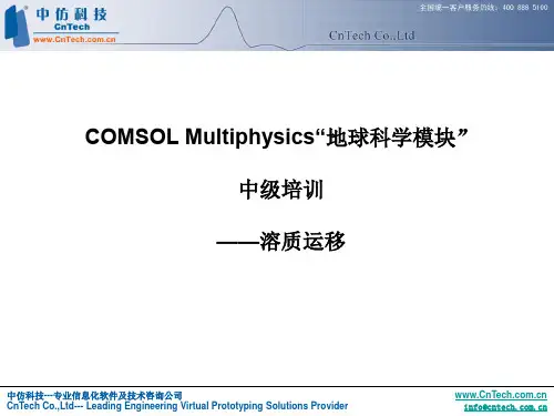 COMSOL地球科学-溶质运移-theory