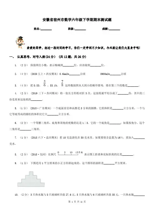 安徽省宿州市数学六年级下学期期末测试题
