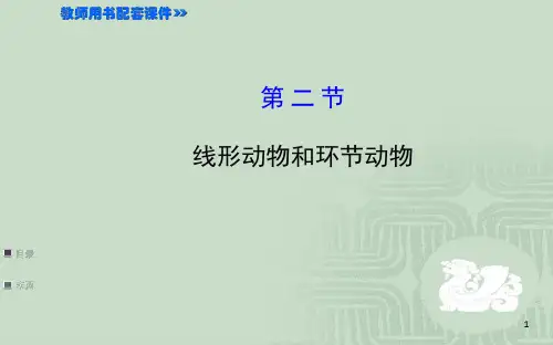 线形动物和环节动物