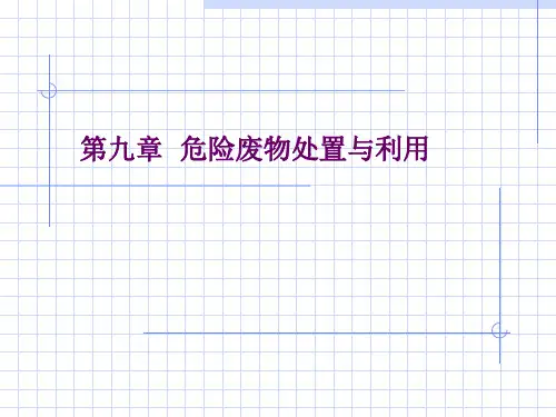 危险废物处置与利用PPT课件