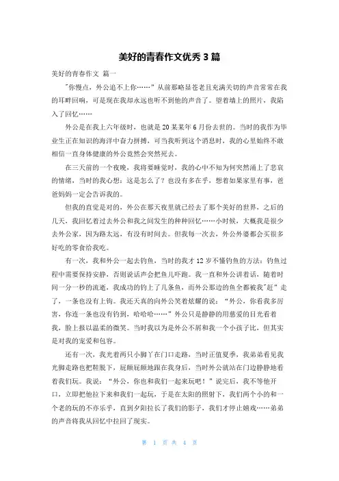 美好的青春作文优秀3篇